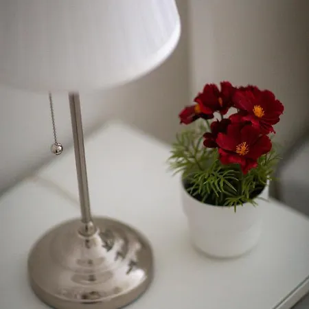 Deluxe Cozy In The Heart Of